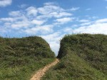 https://www.simonlewandowski.co.uk/files/gimgs/th-52_web grass crack.jpg